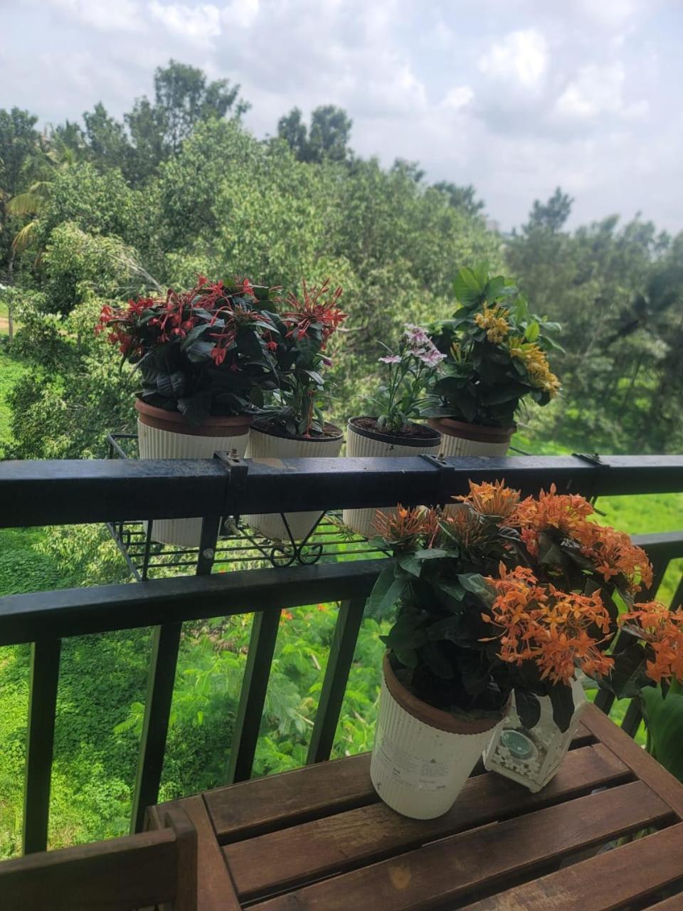 Serene Home Stay Bangalore Eksteriør billede